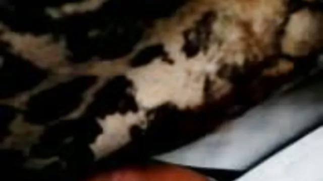 Porno kaydı Bi-bi ihtiyacı sibel kekilli seks filmi izle si-peri