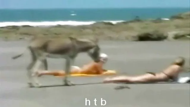 Porno kaydı Karısı siyah damızlık lanet kıçını ücretsiz seks film indir alır